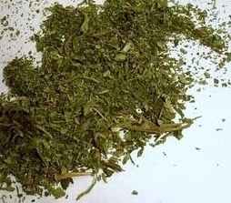25g Stevia Blattwerk - geschnitten