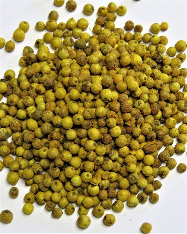 50g Bio Zitronenpfeffer - ganze Körner - DE-ÖKO-005 - mit Bio Zitronenöl aus Sizilien