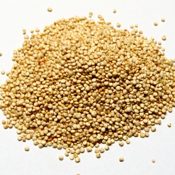 Bio Quinoa - Quinoasamen - 100g - DE-ÖKO-005
