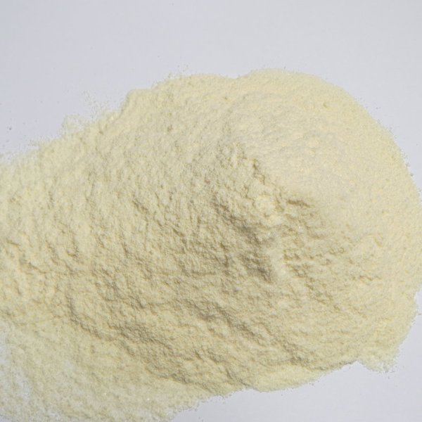 250g Bio Joghurt-Pulver - Yoghurtpulver - DE-ÖKO-005
